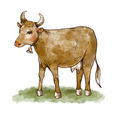 Cute hand drawn cow greeting card. Vintage rustic animals illustration