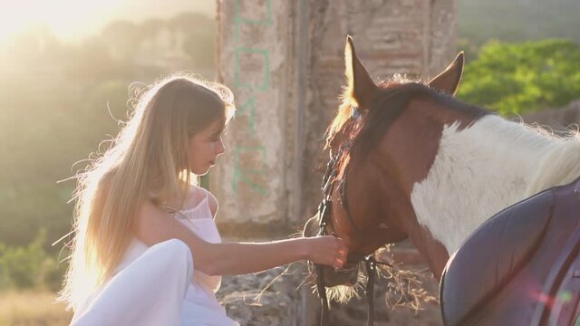 Dreamy look stock footage of a woman touching and caressing a horse at sunset in the forest. Relaxing and interacting with a horse outdoors. Beautiful moment between human and animal.