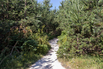 Ancient sanctuary Belintash, Rhodope Mountains, Bulgaria
