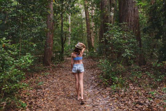 Young Teen Walking In The Forest In Summer