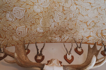 coffee and sugar. luxurious afternoon in a castle's elegant rooms. Still life objects.THE COUNTESS...
