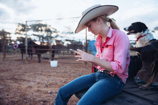 Cowgirl and dog sitting near horses in yard