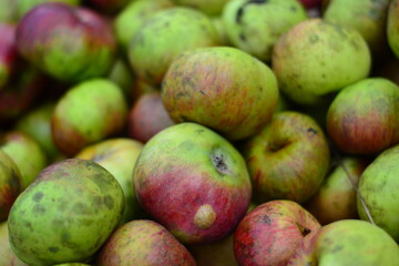 red and green apples