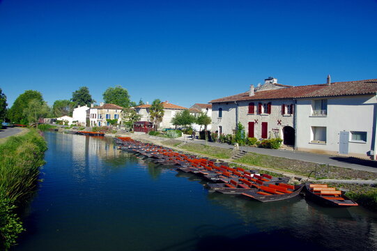 รูปภาพCoulon เลือกดูภาพถ่ายสต็อก เวกเตอร์ และวิดีโอ814 Adobe Stock
