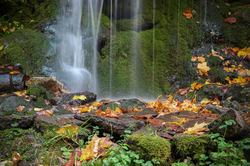 Obraz na płótnie Canvas Autumn foliage at the waterfall. Yellow foliage on wet stones. Stones in the background of a waterfall. Beautiful moss