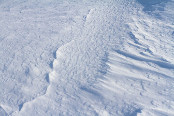 Fototapeta na wymiar Winter snowy white background with beautiful natural pattern