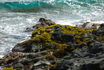 Lava rocks and ocean shore