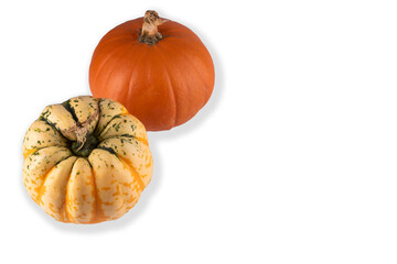 raw pumpkins on white background, autumn concept, Helloween holidays, copy space