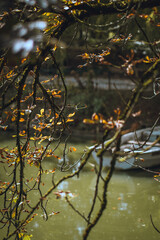 L'automne arrive