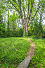 Walkway with a wooden bridge next to the trees in the arboretum.