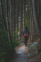 Fototapeta premium Joven mujer haciendo senderismo. Young woman hiking