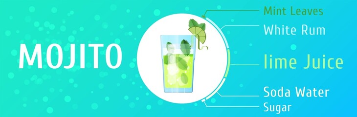 Mojito cocktail ingredients vector trendy stylish flat design