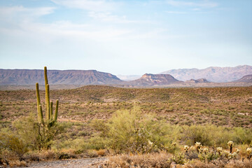 Open desert near Wickenburg, Arizona