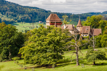 Wildenstein, Bubendorf, Schloss, Lampenberg, Wanderweg, Wasserfall, Eichenwald, Eiche Landwirtschaft, Felder, Herbst, Baselland, Schweiz