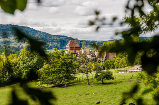 Wildenstein, Bubendorf, Schloss, Lampenberg, Wanderweg, Wasserfall, Eichenwald, Eiche Landwirtschaft, Felder, Herbst, Baselland, Schweiz