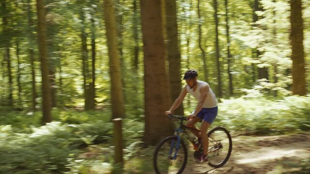 Twp Mountain Bikers Cycling In Sunlit Forest