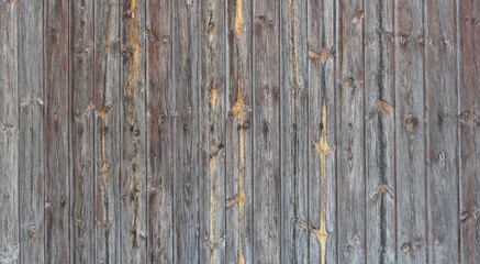 pano old weathered wood door with rusty nails, for matte painting backgrounds and textures