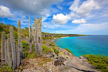 Fototapeta premium Bonaire coastline