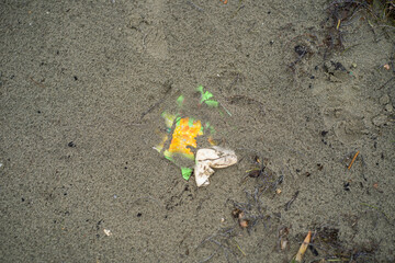 Thrash in sand of beach. Garbage in ocean. Environment contamination