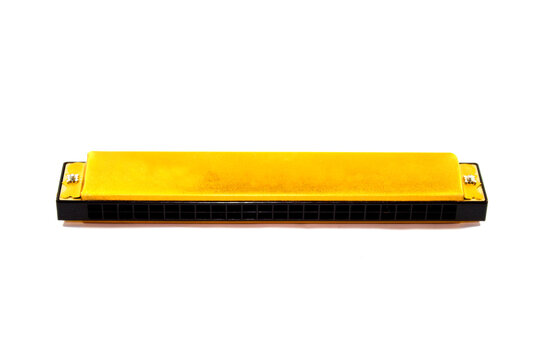 Gaita de boca dourada com fundo branco