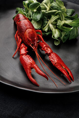 Cooked Red Crawfish on dark plate. Asian Chinese Food Spicy Crayfish