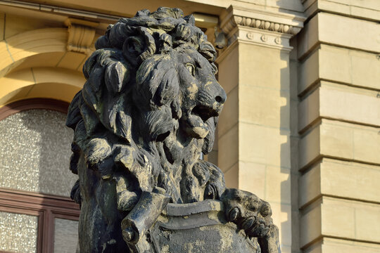 Kaliningrad, Russia - september 30, 2020: Sculpture of a lion on the porch of Koenigsberg Stock exchange. Kaliningrad, Kenigsberg before 1946, Russia