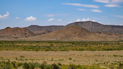The Cooke's Peak area, New Mexico.