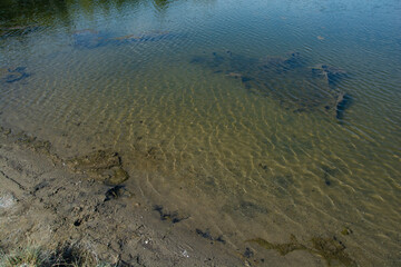 Fototapeta na wymiar Polluted bottom of the reservoir, sandy beach and green water.