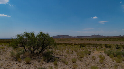 The Cooke's Peak landscape, New Mexico.