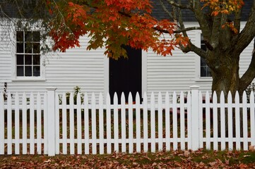 autumn leaves with white house and picket fence