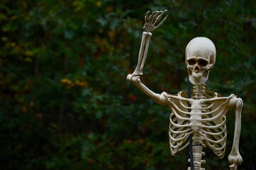 halloween skeleton lawn decoration