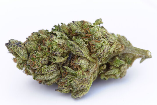 Close up of medical and recreational white runts indica sativa strain indoor grown marijuana bud on white background