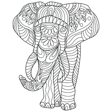 elephant drawn with abstract ornaments on a white background for coloring, vector, animals