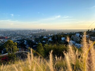 a view of Los Angeles from the Hollywood Hills (West Hollywood)