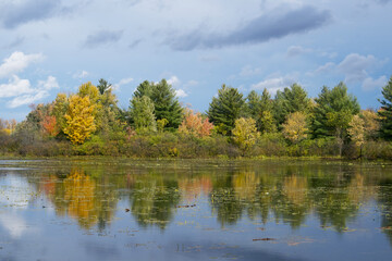 Fototapeta na wymiar Reflections of colourful trees on a lake