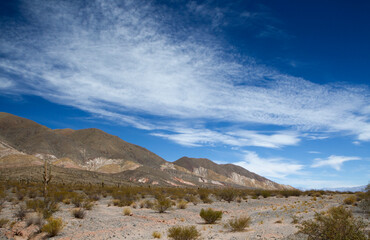 Desert landscape. The colorful hills in Los Cardones National Park in Salta, Argentina. The arid valley, sand, bushes and giant cactus Echinopsis atacamensis under a beautiful blue sky.