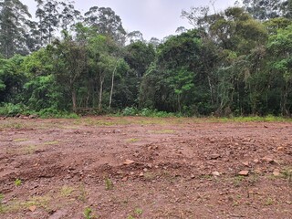 fazenda, árvores, campo, terra