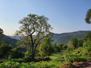 mão de bebê menina