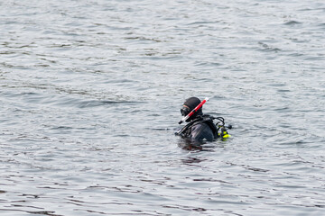 St. John's, Newfoundland / Canada - October 2020: A lone male swims in cold water wearing a black scuba diving suit. The person has a red snorkel, black suite, snorkeling mask, and goggles. 
