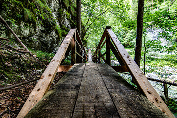 New wooden bridge in summer forest in Robanoc Kot valley, Slovenia © Miroslav