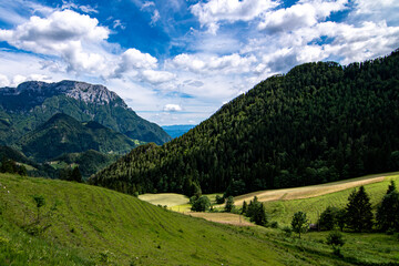 Summer View of The Logar Valley in Kamnik Mountains, Slovenia © Miroslav