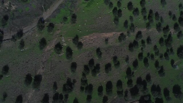 Evoramonte, village of Portugal with castle. Aerial drone Footage