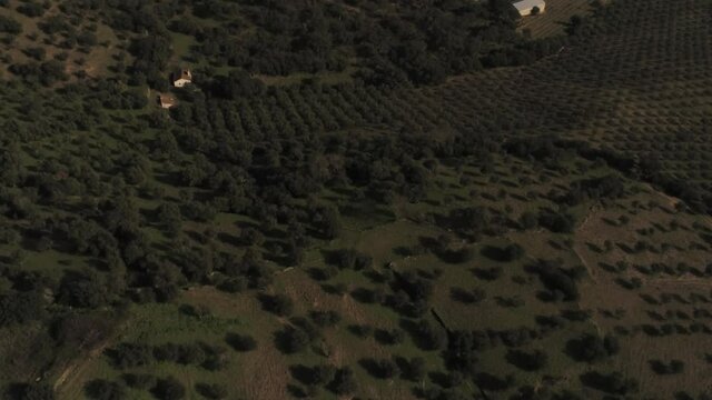 Evoramonte, village of Portugal with castle. Aerial drone Footage