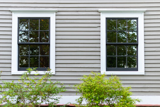 Two double hung windows with multiple panes of glass in a tan color wooden wall. The wall has narrow clapboard with white trim. There are two green bushes in front of the windows.
