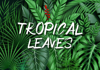 Tropical leaves background with jungle plants