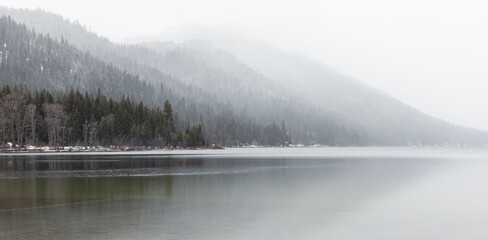 Panorama of Forest Along Still Lake in Winter with Fog