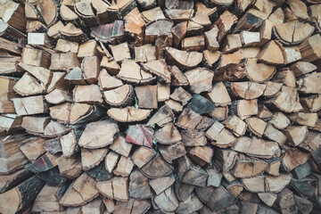 Firewood cut and arranged for winter