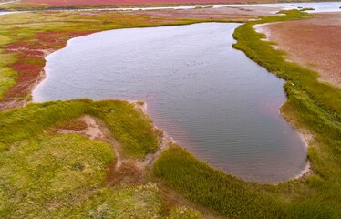 Red grassland of Tiaozini wetland in Huanghai, Jiangsu, China