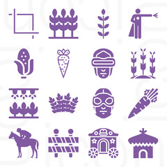 16 pack of rural  filled web icons set