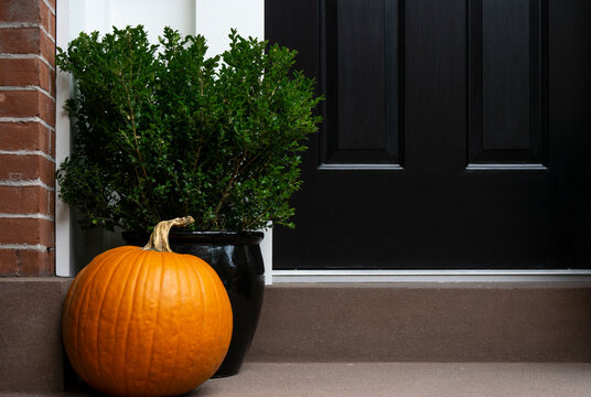 Thanksgiving decorated front door with pumpkin and potted plant. Autumn season.